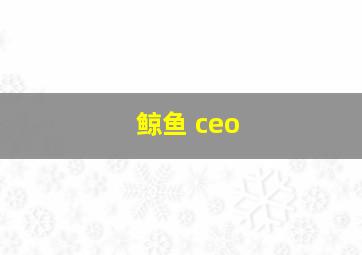 鲸鱼 ceo